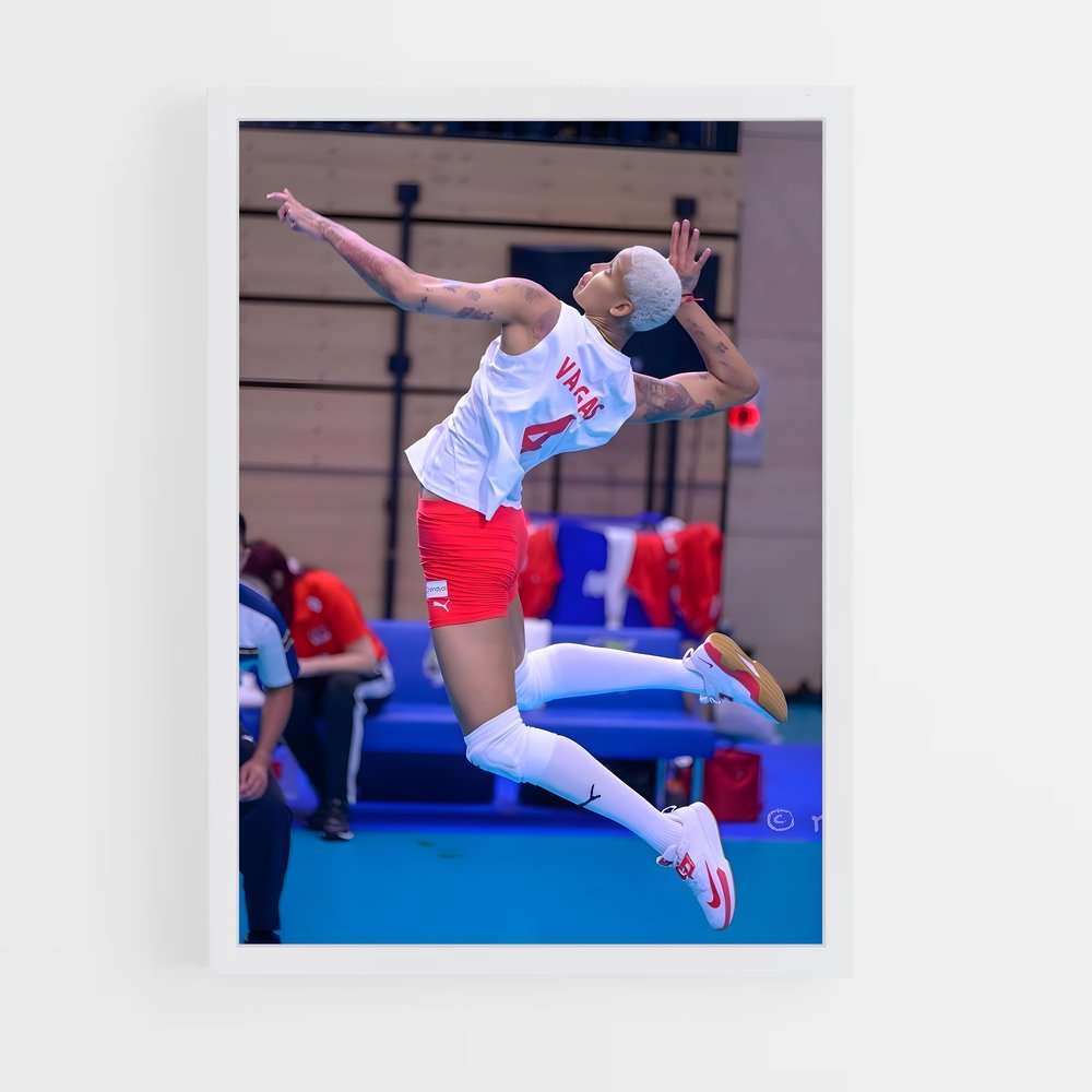 Poster Envolée Volleyball (vue 3)